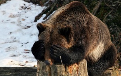 Miti sulla Russia e altre manipolazioni svelate