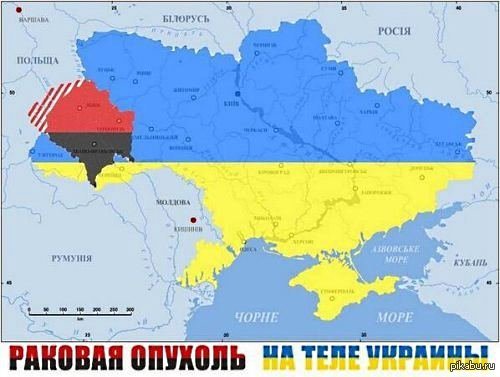 Gli ucraini liberi bocciano la giunta colonialista occidentale a Kiev