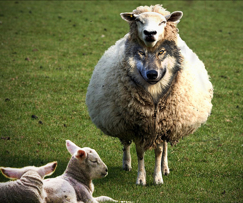 "Non siamo vostri nemici, siamo fratelli, vogliamo essere buoni vicini.."