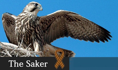 Risposta di Saker a un russofobo bigotto