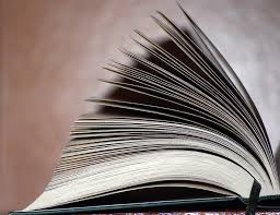 100 pagine di blog