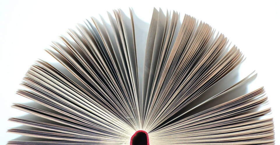 6000 pagine del sito