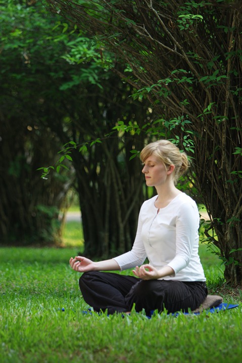 Risposta a una domanda sulla meditazione buddhista