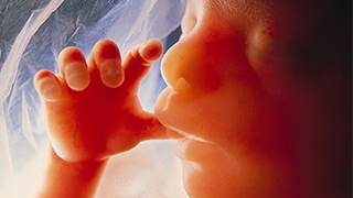 Risposte alle argomentazioni degli abortisti