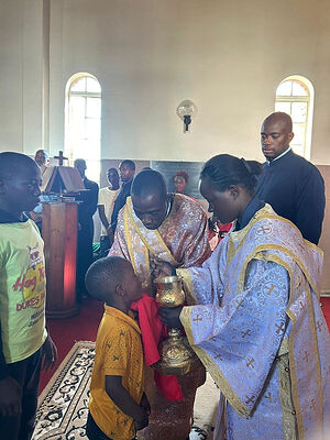 Qual è l'obiettivo di una diaconessa "liturgica"?