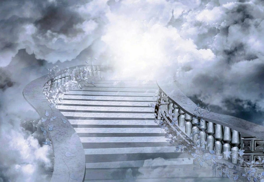 Un ponte verso... dove?
