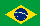 Portoghese brasiliano